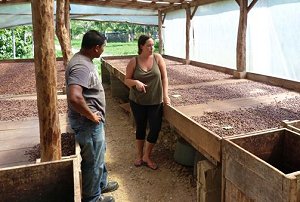 Cacao Drying Area