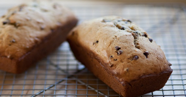 Chocolate Chip Bread Machine Recipe CUO