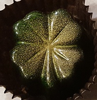 Guinness Extra Stout Truffle