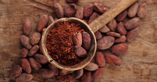 Cacao in the Philippines
