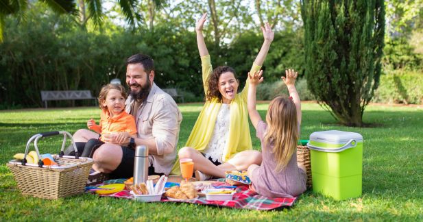 Best Chocolates for Picnics and Outdoor Fun