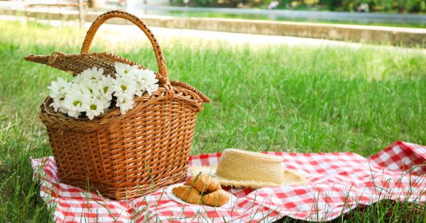 Chocolate Picnic Treats That Travel Well