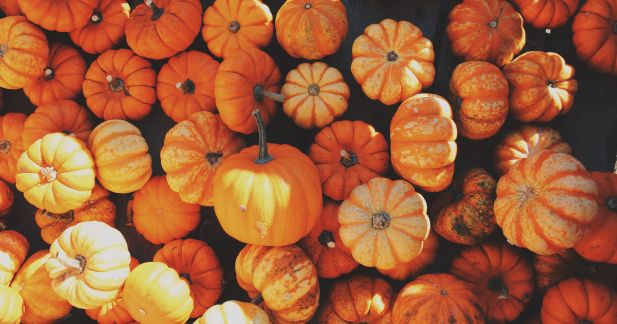 The Best Fall Chocolate Flavor Pairings